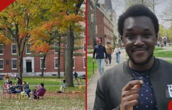 2025 KCSE Results Are Out? Meet Johnson, Who Scored a Perfect 84 Out of 84 Points — Check Out Details 2025 KCSE Results Are Out? Meet Johnson, Who Scored a Perfect 84 Out of 84 Points — Check Out Details