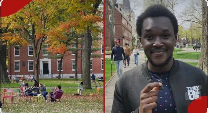 2025 KCSE Results Are Out? Meet Johnson, Who Scored a Perfect 84 Out of 84 Points — Check Out Details 2025 KCSE Results Are Out? Meet Johnson, Who Scored a Perfect 84 Out of 84 Points — Check Out Details