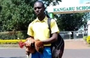 Student Who Once Reported to School With a Cock to Pay Fees Excels in KCSE Student Who Once Reported to School With a Cock to Pay Fees Excels in KCSE