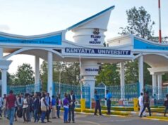 Career Pathways for KCSE D+ Graduates in Kenya: Marketable Courses With Real Opportunities to Go For Career Pathways for KCSE D+ Graduates in Kenya: Marketable Courses With Real Opportunities to Go For