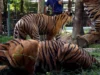 Virus Kills 72 Tigers – Criticism of Thailand’s Adventure Parks Virus Kills 72 Tigers