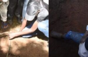 One dead, two critical after 11 pupils fall into septic tank One dead, two critical after 11 pupils fall into septic tank