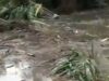 Horror in Ondo as Nigerian Military Helicopter Crashes, Multiple Deaths Feared Horror in Ondo as Military Helicopter Crashes, Multiple Deaths Feared
