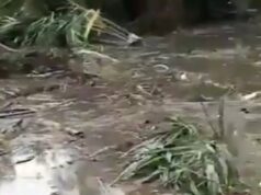 Horror in Ondo as Nigerian Military Helicopter Crashes, Multiple Deaths Feared Horror in Ondo as Military Helicopter Crashes, Multiple Deaths Feared